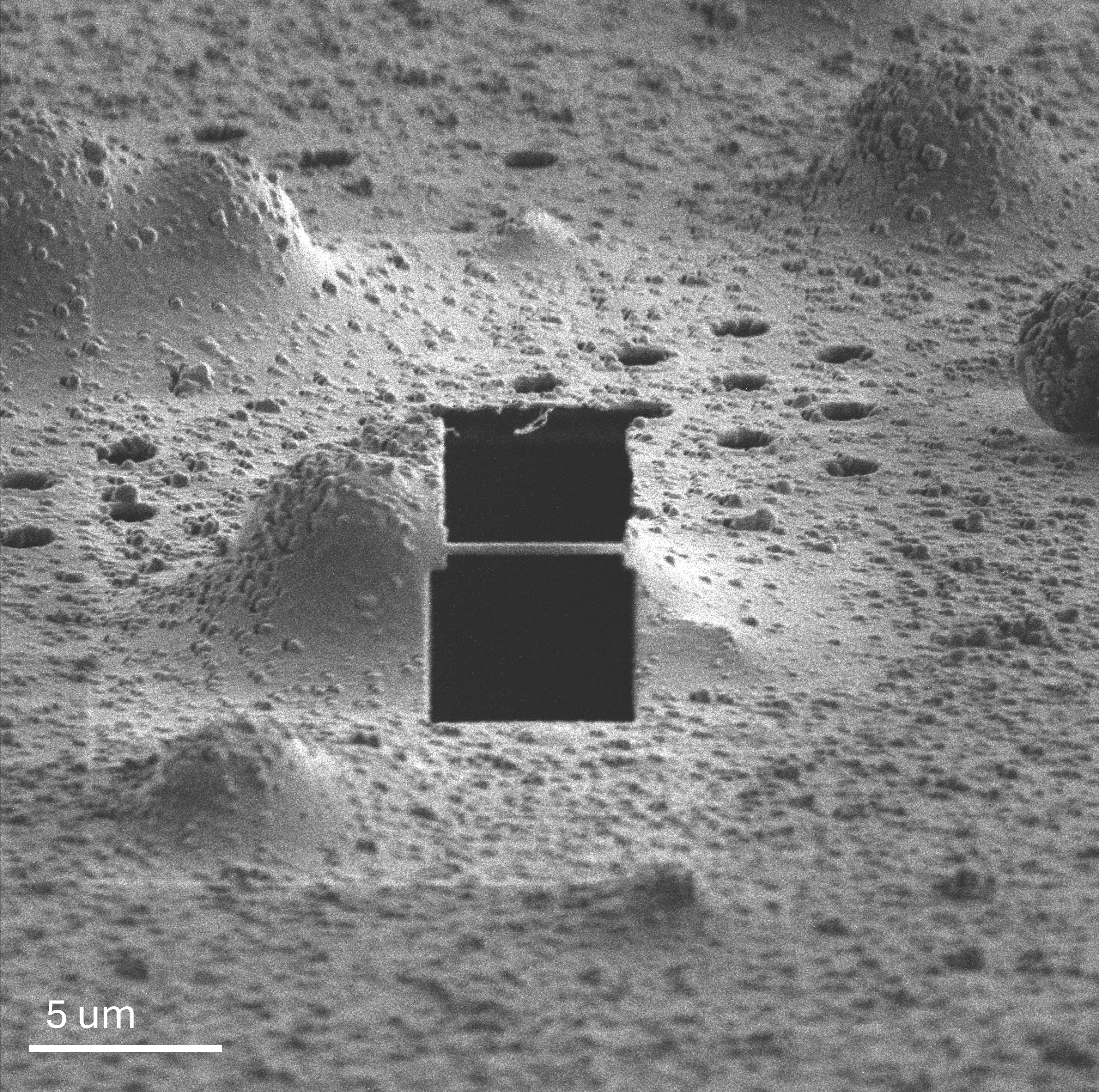 High-Precision Cryo-ET Lamella Preparation with Tescan Cryo FIB-SEM